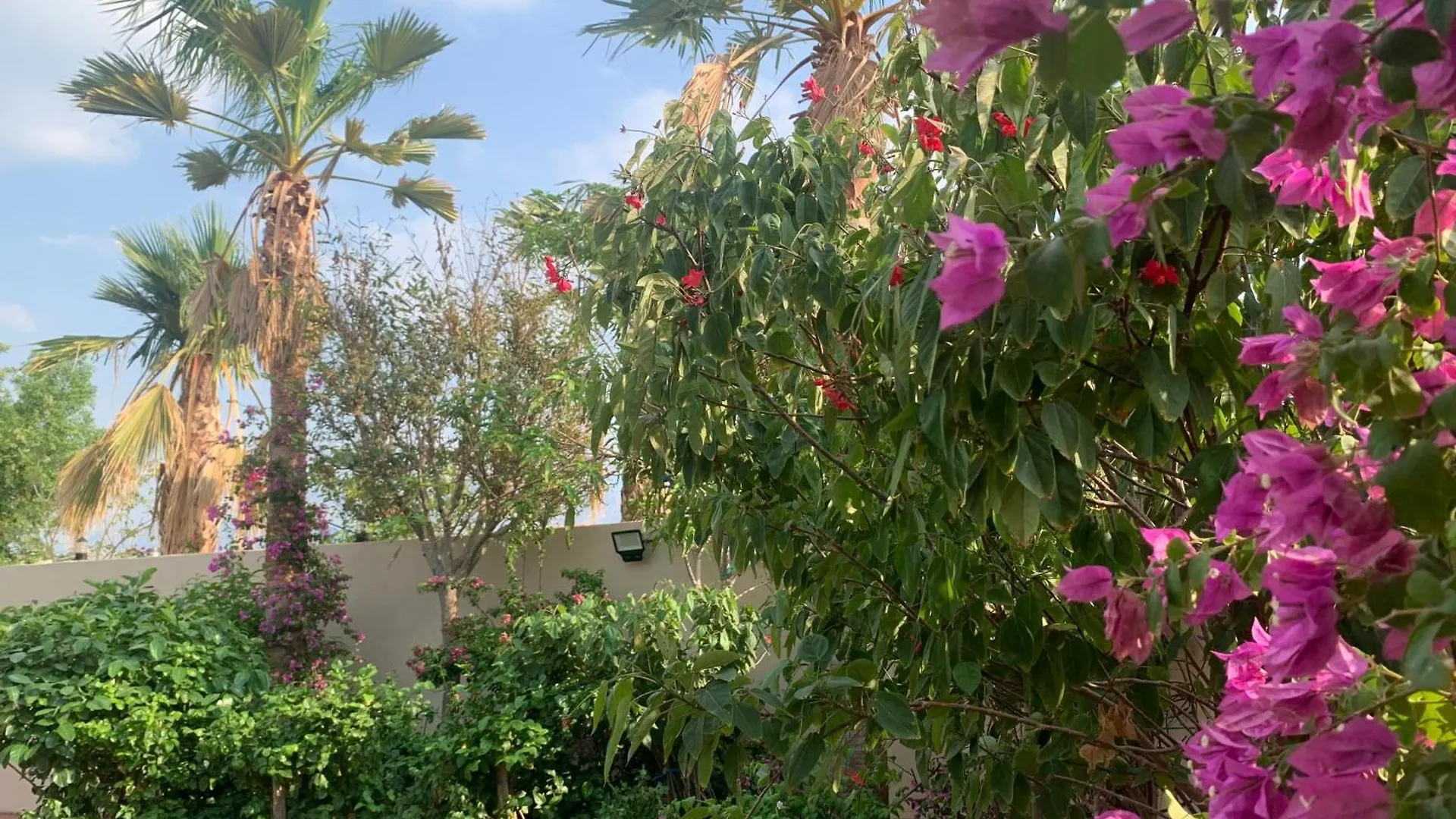 فيلا المنزل مكة 0*,  المملكة العربية السعودية