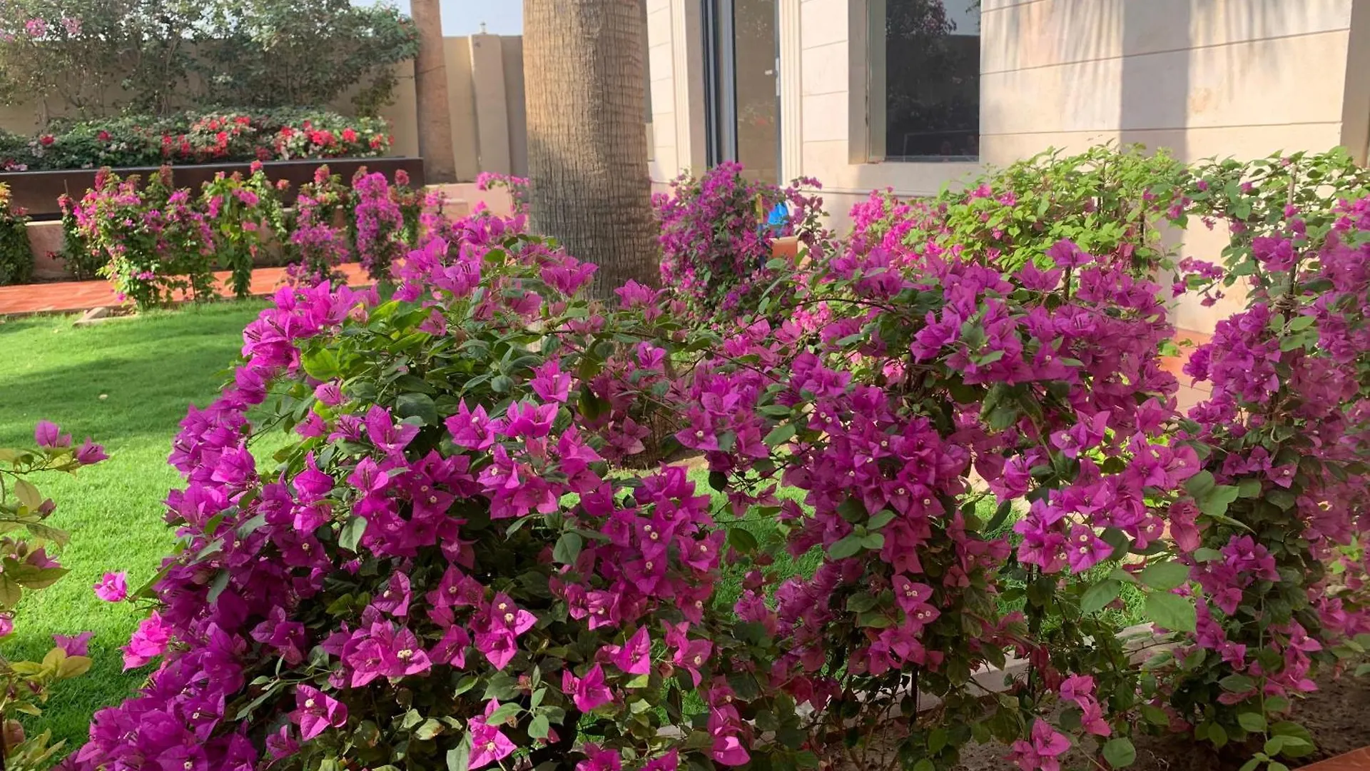 فيلا المنزل Mecca Arab Saudi